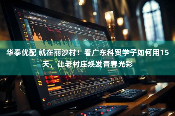 华泰优配 就在丽沙村！看广东科贸学子如何用15天，让老村庄焕发青春光彩