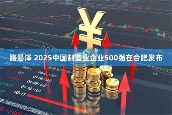 路易泽 2025中国制造业企业500强在合肥发布